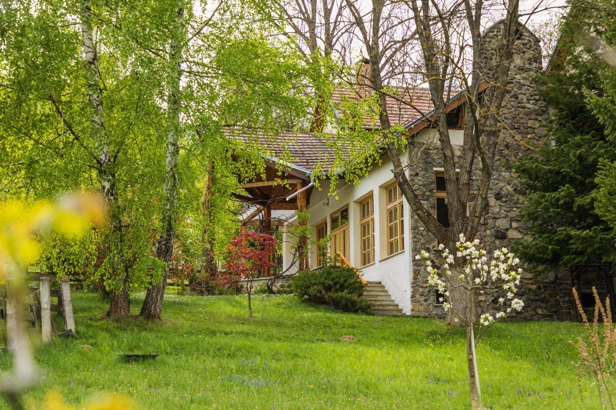 Villa Alba By Akasha Retreat 브란 외부 사진
